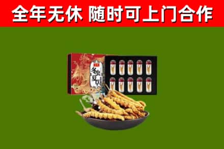 津市回收冬虫夏草价格